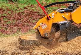 Best Stump Grinding and Removal  in Woodbury, TN