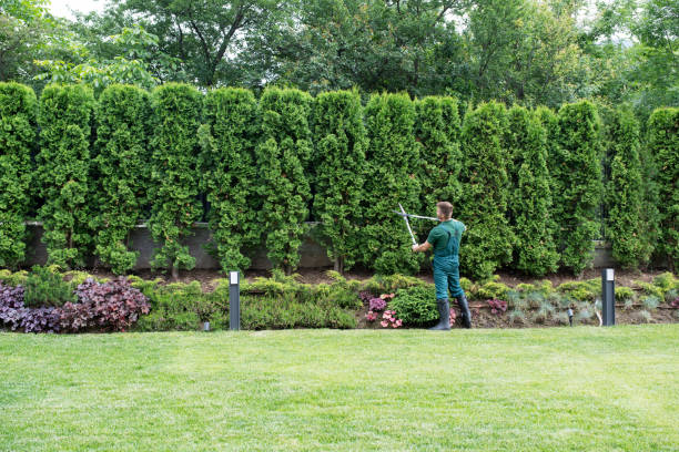 Best Lawn Watering Services  in Woodbury, TN