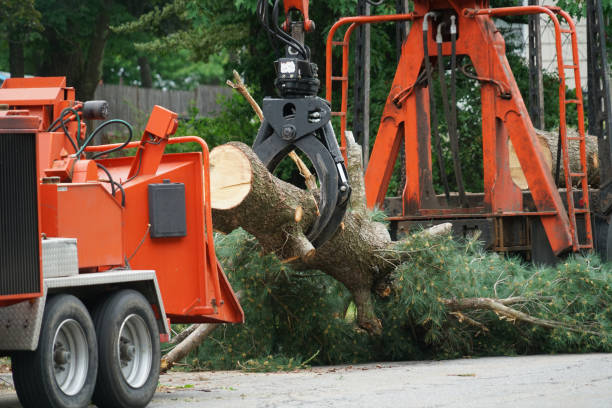 Best Lawn Irrigation Installation and Maintenance  in Woodbury, TN
